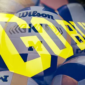 Volleyball Set of Volleyballs