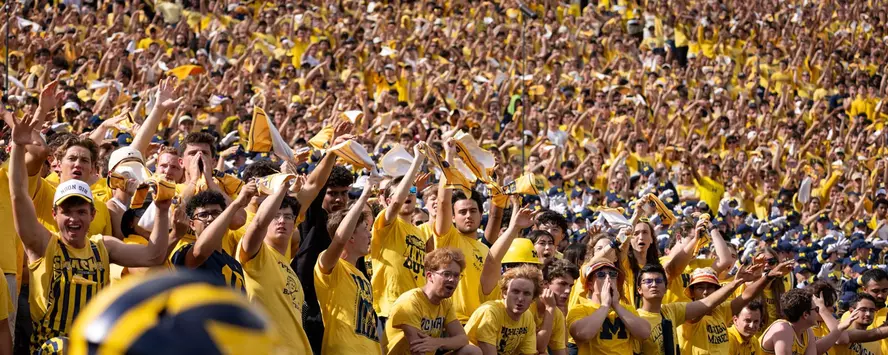 Michigan Stadium fans