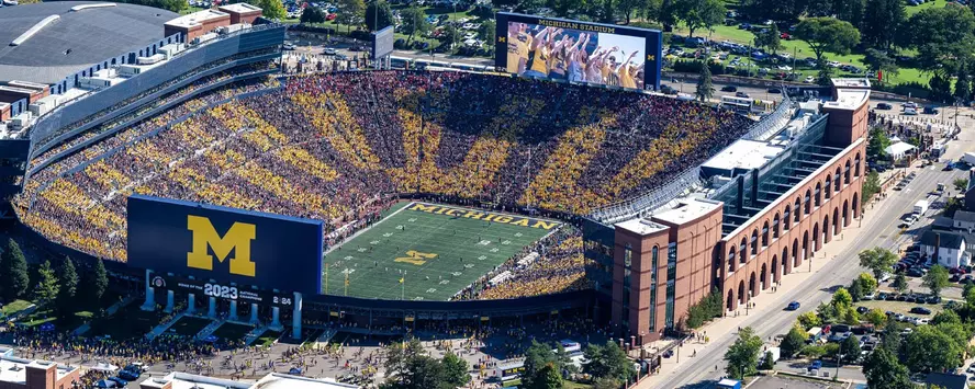 Michigan Stadium Stripe Out