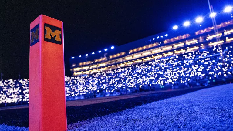 Michigan Stadium night game fans