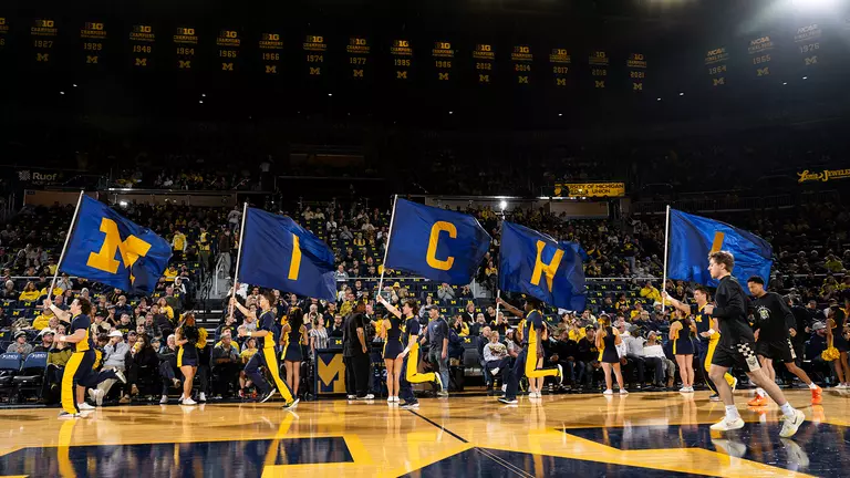 Men's Basketball Crisler Center fans generic
