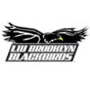 LIU Brooklyn