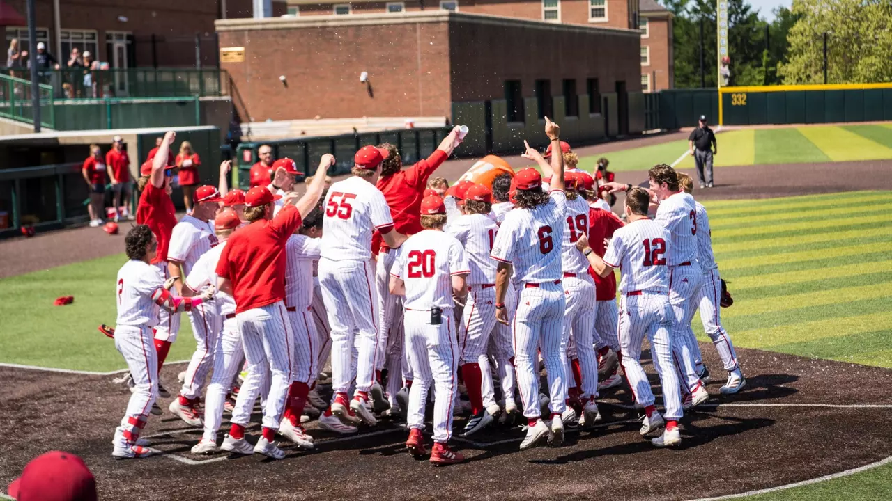 Baseball Celebration