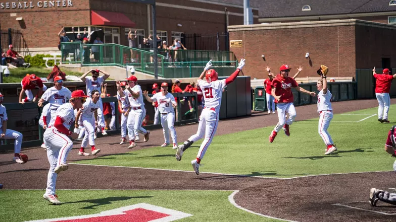 Baseball Celebration