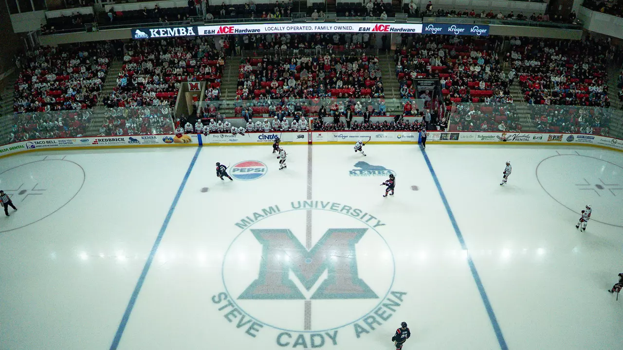 Cady Arena crowd at Goggin