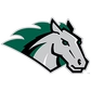 Stevenson University Logo