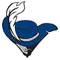 Cabrini University Logo