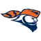 Carroll University Logo