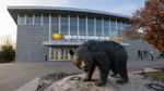 Great Southern Bank Arena on November 28, 2022. Jesse Scheve/MissouriState.edu