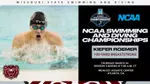 Roemer Website NCAA's graphic