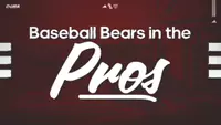 Baseball Bears in the pros