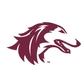 Southern Illinois University