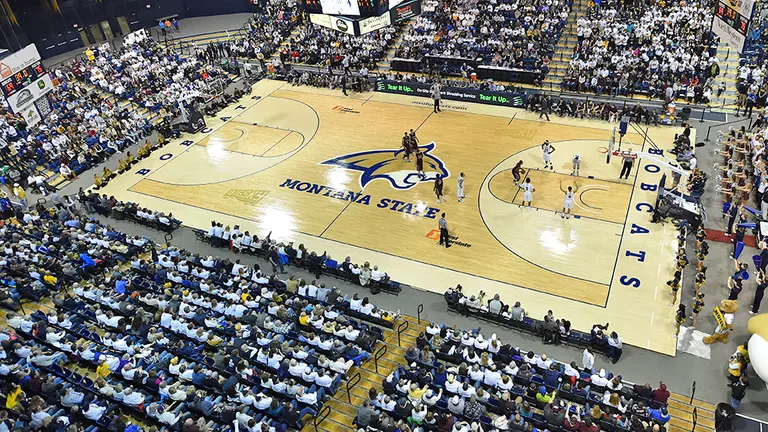 Bobcat Men's, Women's Basketball Teams Sanction Student Sections