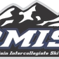 RMISA (Ski) Logo
