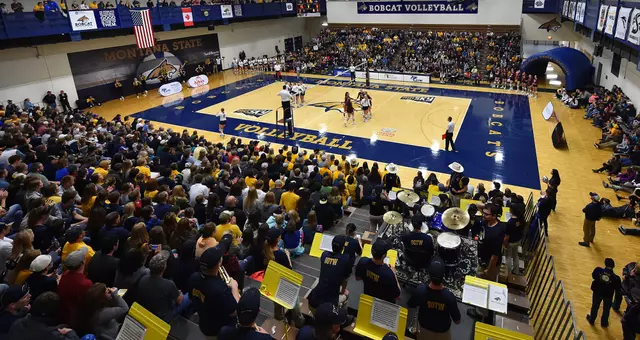 VB_17_SHAKE_SHROYER_MATCH