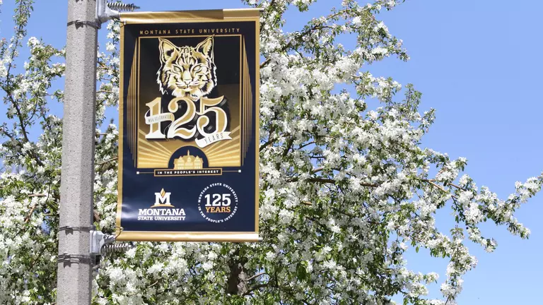 Montana State Represented by 54 on 2018 Big Sky Spring All-Academic Team