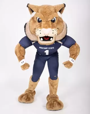Champ the Bobcat