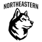 Northeastern University Logo
