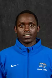 toroitich hs