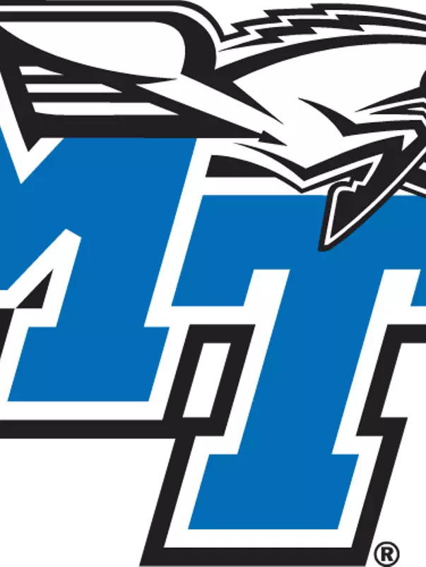 MT primary logo 2022