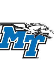 MT Logo for HS