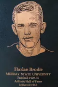 Harlan Brodie
