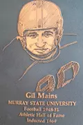 Gil Mains
