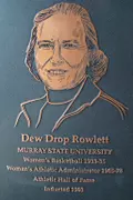 Dew Drop Rowlett