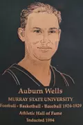 Auburn Wells