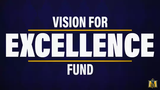 Vision For Excellence Fund