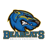 Brescia University