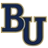 Bethel University