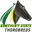 Kentucky State Logo