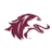 Saluki Fast Start
