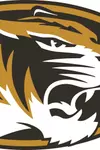 Tiger Head