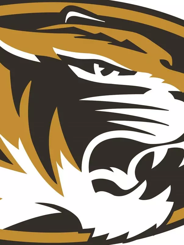Tiger Head