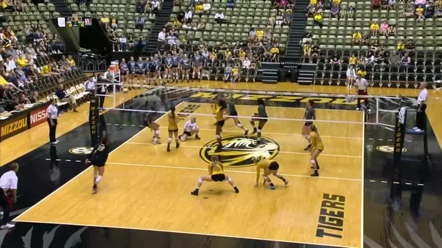 FEATURE- Carly Kan's Journey