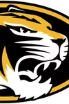 Tiger Head