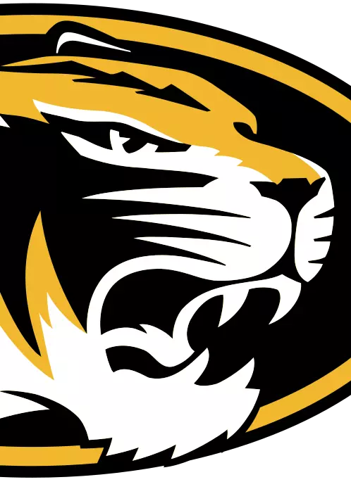 Tiger Head