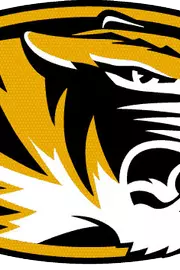Tiger Head