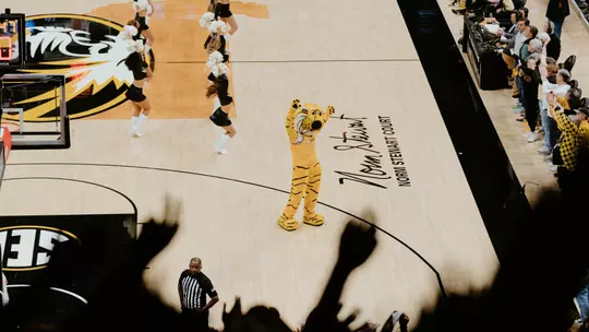 Mizzou Arena