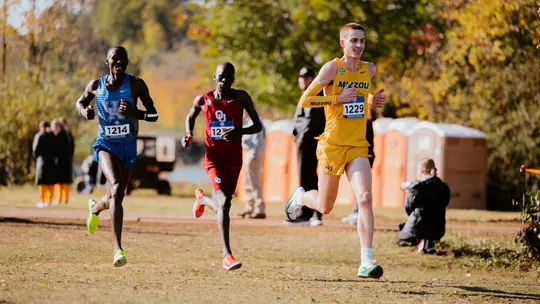 Mizzou cross country senior Drew Rogers running to seventh place at the 2025 SEC Championship on October 31, 2025 in Knoxville, Tennessee.
