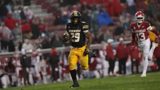 Hardy, Arkansas 2025