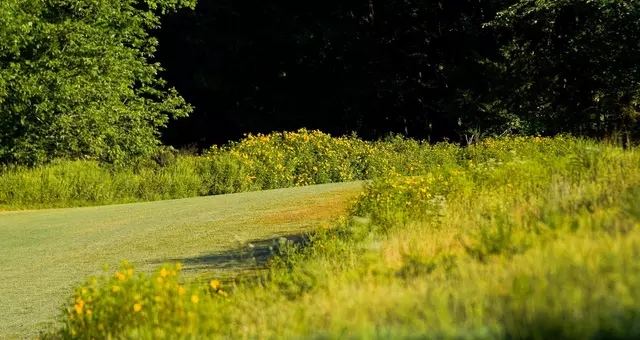 One of the turns of the Gans Creek Cross Country Course.