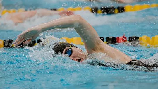 Mizzou Invitational 11/20-22