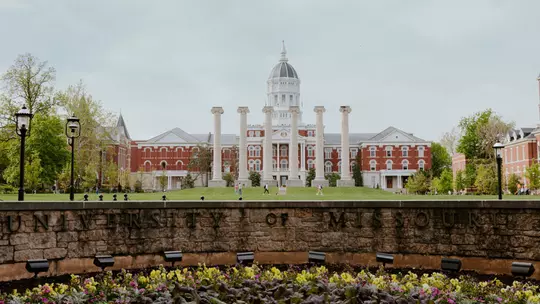 Jesse Hall, Columns, Quad
