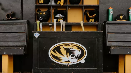 baseball bat rack