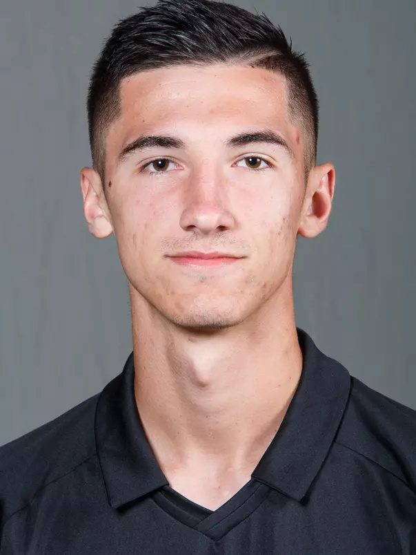 Elvir Ibisevic