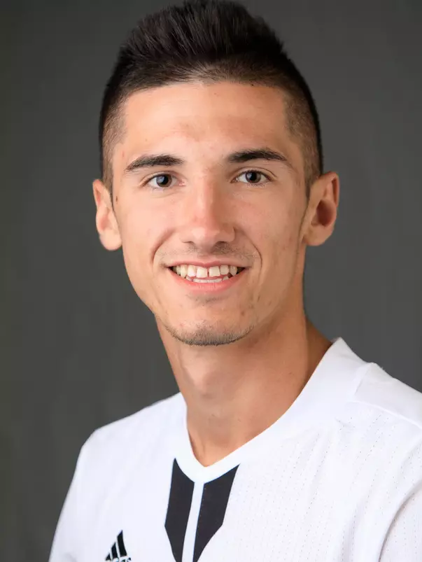 Elvir Ibisevic