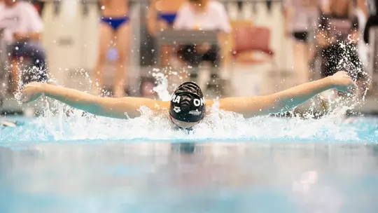 2019-20 Omaha Swimming and Diving - Year in Review